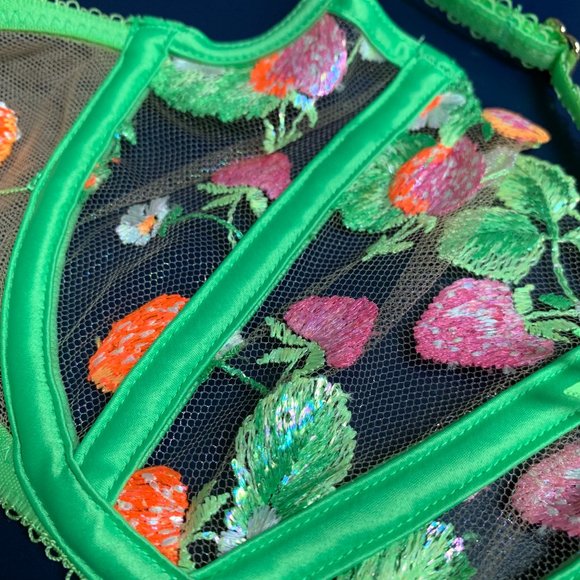 NWT Honey Birdette Lottie Lace Bra - Picture 10 of 14